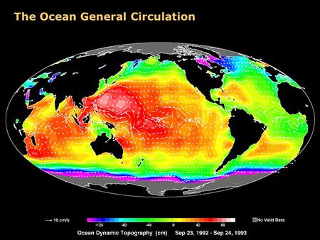 The Ocean General Circulation. Mean Circulation in the Ocean Gulf Stream.