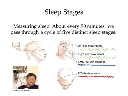 Measuring sleep: About every 90 minutes, we pass through a cycle of five distinct sleep stages. Sleep Stages Hank Morgan/ Rainbow.