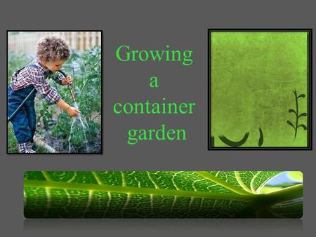 Growing a container garden. Navigation To navigate this presentation, you can click on the user interface icons below. Click on this image to get back.