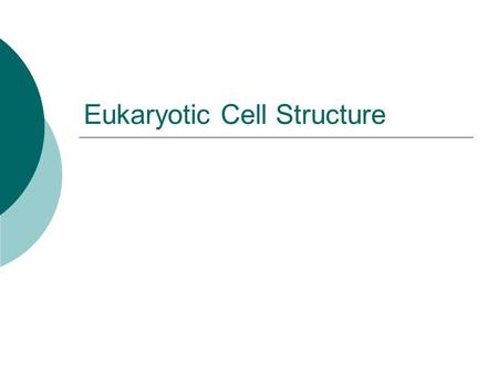 Eukaryotic Cell Structure. Essential Questions  What are the functions of the major cell structures?