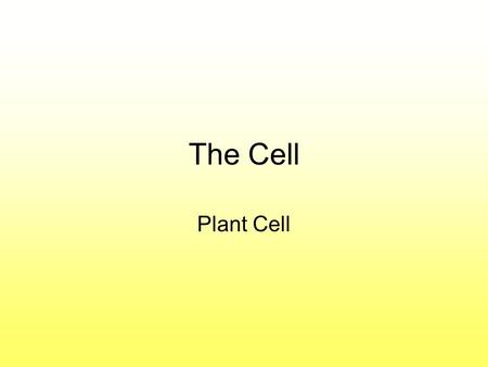 The Cell Plant Cell. Cell Wall: Made of Cellulose; Allows things into and out of the cell; Provides structure to the plant. Does not exist in animal cells.