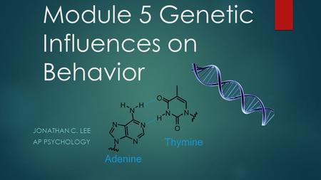 Module 5 Genetic Influences on Behavior JONATHAN C. LEE AP PSYCHOLOGY.