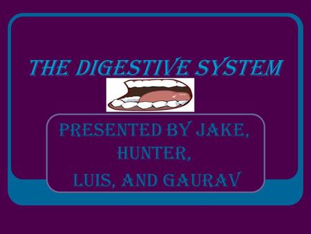The Digestive System Presented by Jake, Hunter, Luis, and Gaurav.