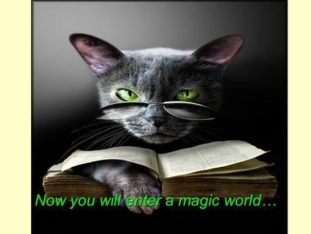 Now you will enter a magic world…. In a moment… … you will witness something very special!!!