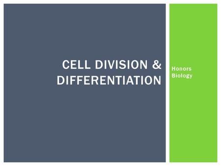 Honors Biology CELL DIVISION & DIFFERENTIATION.  What are some reasons why cells divide?  Replacement  Growth  Regeneration  Too big (more on that.