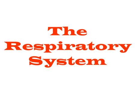 The Respiratory System Function A collection of organs that take in oxygen and expel carbon dioxide.