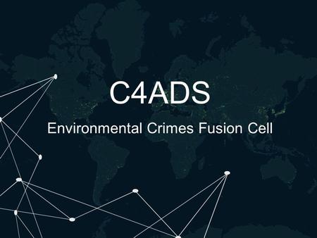 C4ADS Environmental Crimes Fusion Cell. The Global Trade in Illicit Elephant Ivory: Use Values and Financial Flows Bush Currency SpeculationConsumer Retail.