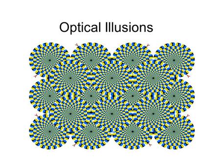 Optical Illusions.
