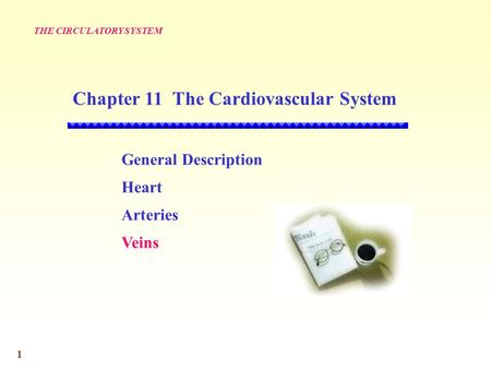1 General Description Heart Arteries Veins THE CIRCULATORY SYSTEM Chapter 11 The Cardiovascular System.