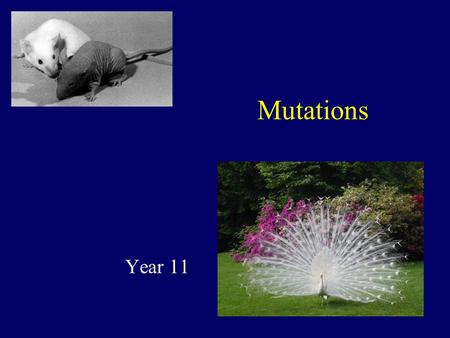 Mutations Year 11.