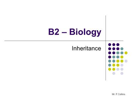 B2 – Biology Inheritance Mr. P. Collins. B2.8 Inheritance - AIMS to explain why Mendel proposed the idea of separately inherited factors and why the importance.