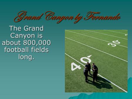 Grand Canyon by Fernando The Grand Canyon is about 800,000 football fields long.
