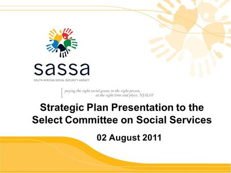 Strategic Plan Presentation to the Select Committee on Social Services 02 August 2011.