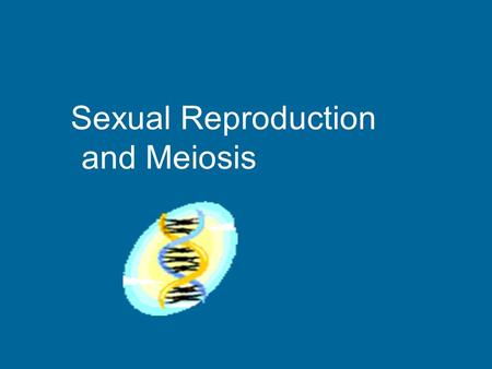 Sexual Reproduction and Meiosis Sexual Reproduction How new organisms are produced 2 new cells come together Formed from cells in reproductive organs.