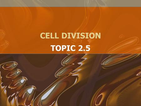CELL DIVISION TOPIC 2.5. ASSESSMENT STATEMENTS 2.5.1 Outline the stages in the cell cycle, including interphase (G1, S, G2), mitosis and cytokinesis 2.5.2.