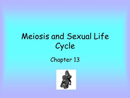 Meiosis and Sexual Life Cycle Chapter 13. Heredity (inheritance) - transmission of traits from 1 generation to next. Variation - siblings differ from.