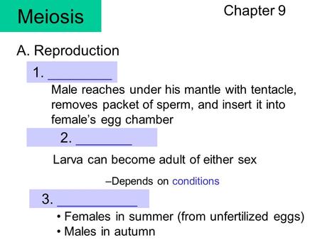 Meiosis Chapter 9 1. ________ Male reaches under his mantle with tentacle, removes packet of sperm, and insert it into female’s egg chamber A. Reproduction.