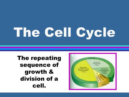 The Cell Cycle The repeating sequence of growth & division of a cell.