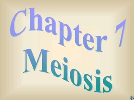 Chapter 7 Meiosis.
