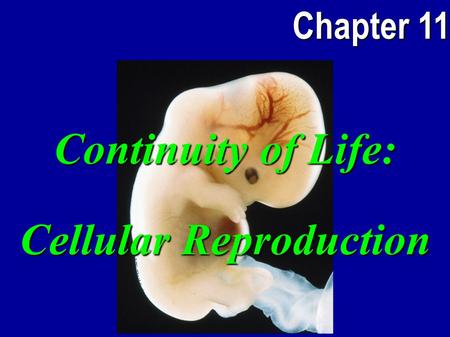 Continuity of Life: Cellular Reproduction