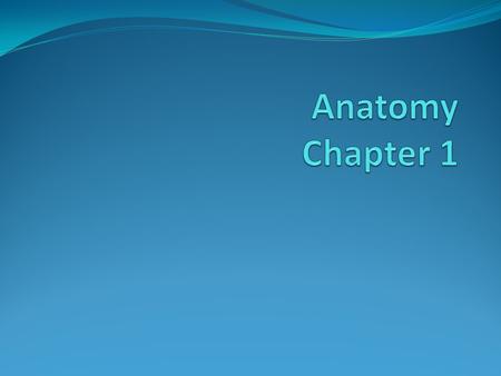 anatomy- means to “cut apart” study of structure and shape of the body and body parts.