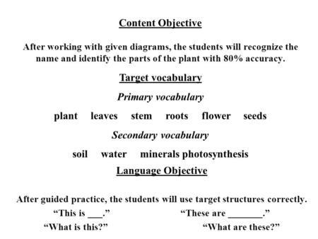 plant leaves stem roots flower seeds Secondary vocabulary