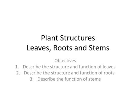 Plant Structures Leaves, Roots and Stems
