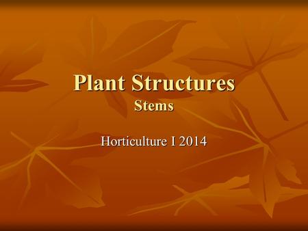 Plant Structures Stems Horticulture I 2014. Specialized Tissues in Plants Plants are as successful if not more successful than animals Plants are as successful.
