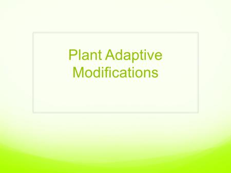 Plant Adaptive Modifications. By now, you should be familiar with the basic structures of plants… Roots Stem Leaves Seeds Flowers (only in angiosperms)