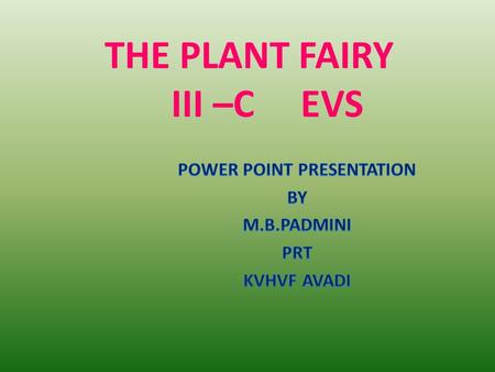 THE PLANT FAIRY III –C EVS