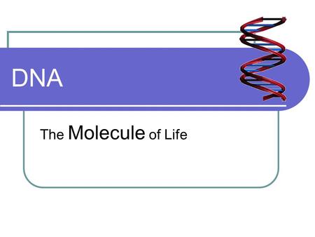 DNA The Molecule of Life. What is DNA? DeoxyriboNucleic Acid Chargaff’s Law A=T, G=C R. Franklin and M. Wilkins Crystal X-ray J Watson and F Crick Model.