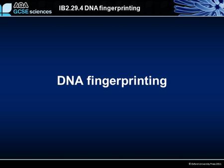 DNA fingerprinting.