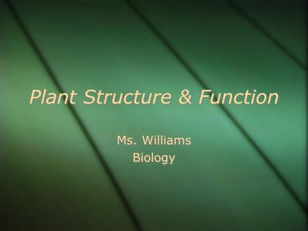 Plant Structure & Function Ms. Williams Biology Ms. Williams Biology.