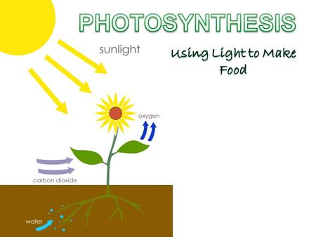 AN OVERVIEW OF PHOTOSYNTHESIS Copyright © 2009 Pearson Education, Inc.