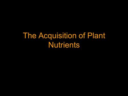 The Acquisition of Plant Nutrients Photosynthesis in General Light + CO 2 + H 2 O  C 6 H 12 O 6 + O 2.