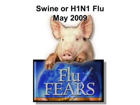 Swine or H1N1 Flu May 2009. What is Swine-Origin Influenza A (H1N1) Virus (Swine Flu)? Swine flu is typically a respiratory disease of pigs; however,