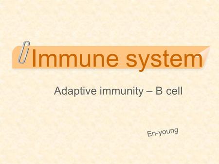 Adaptive immunity – B cell
