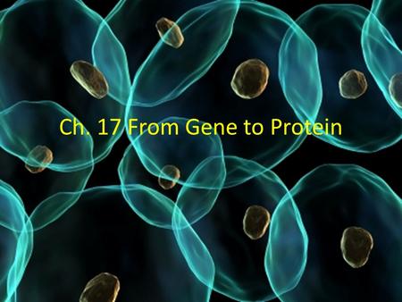 Ch. 17 From Gene to Protein. Genes specify proteins via transcription and translation DNA controls metabolism by directing cells to make specific enzymes.