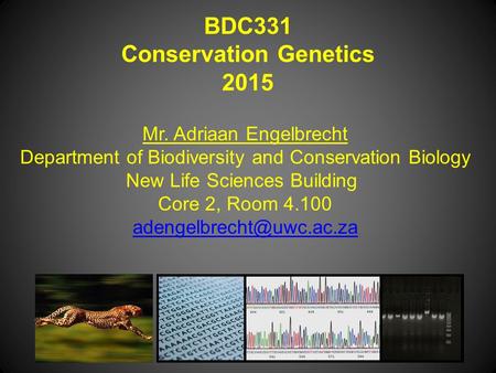 BDC331 Conservation Genetics 2015 Mr. Adriaan Engelbrecht Department of Biodiversity and Conservation Biology New Life Sciences Building Core 2, Room 4.100.