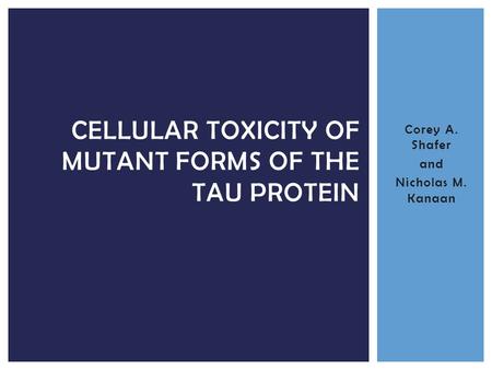 Corey A. Shafer and Nicholas M. Kanaan CELLULAR TOXICITY OF MUTANT FORMS OF THE TAU PROTEIN.