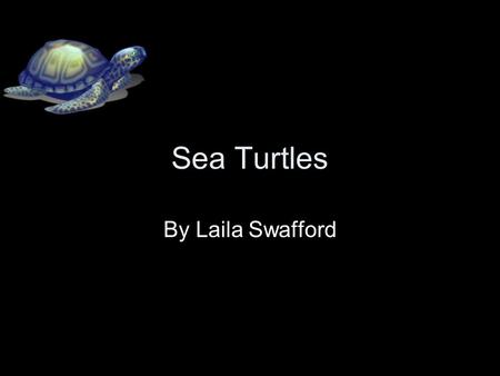Sea Turtles By Laila Swafford. What is the Animal Group? They are in the reptiles group. They have scaly skin. They need shade and sun.