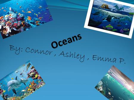 By: Connor, Ashley, Emma P.. Marine Ecosystem o Oceans major ecosystem is marine ecosystem. o Marine Ecosystem is one of the largest aquatic ecosystem.
