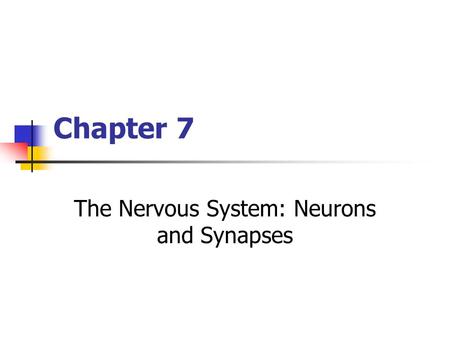 The Nervous System: Neurons and Synapses