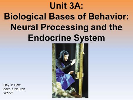 Unit 3A: Biological Bases of Behavior: Neural Processing and the Endocrine System Day 1: How does a Neuron Work?