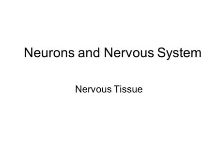 Neurons and Nervous System