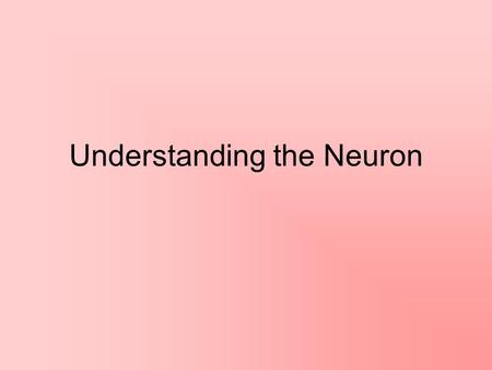 Understanding the Neuron. 2 Internal Messaging Systems 1.Nervous System- fast acting- messages travel through neurons (nerve cells) 2.Endocrine System-