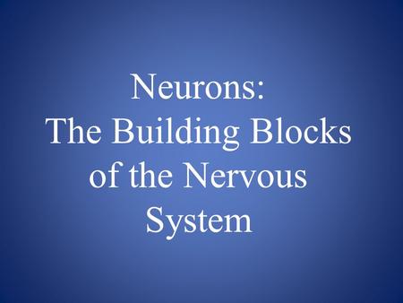 Neurons: The Building Blocks of the Nervous System