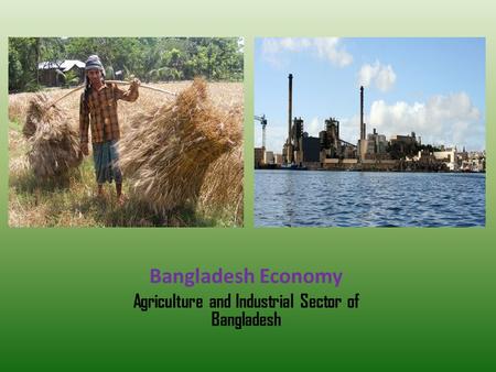 Bangladesh Economy Agriculture and Industrial Sector of Bangladesh.