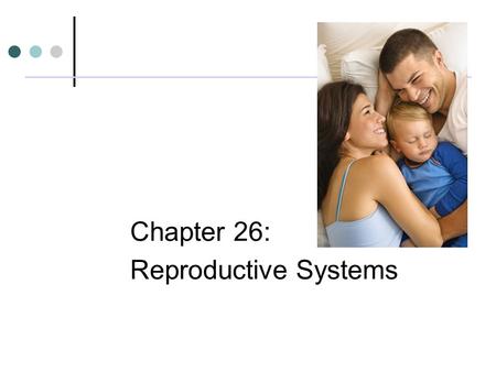 Chapter 26: Reproductive Systems