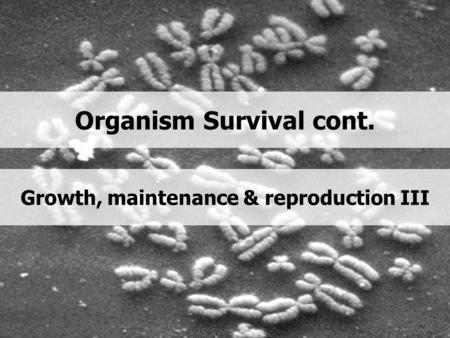 Organism Survival cont. Growth, maintenance & reproduction III.